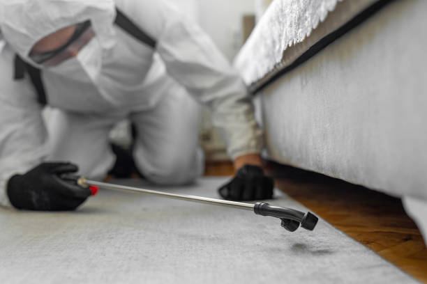 Professional Bed Bug Control technician working in Santa Clara, NM