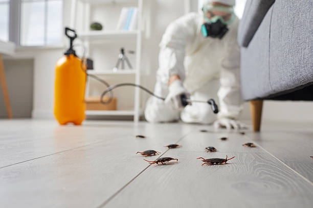 Trusted Fumigation Services service in Santa Clara, NM - Nex Pest Control