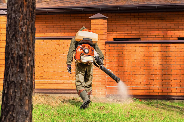 Trusted Cockroach Control service in Santa Clara, NM - Nex Pest Control